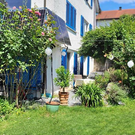 Ferienwohnung Am Bruchwald ビーティッヒハイム・ビッシンゲン エクステリア 写真