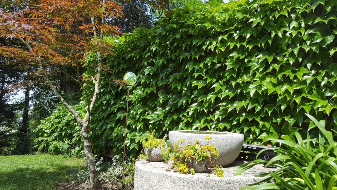 Ferienwohnung Am Bruchwald ビーティッヒハイム・ビッシンゲン エクステリア 写真