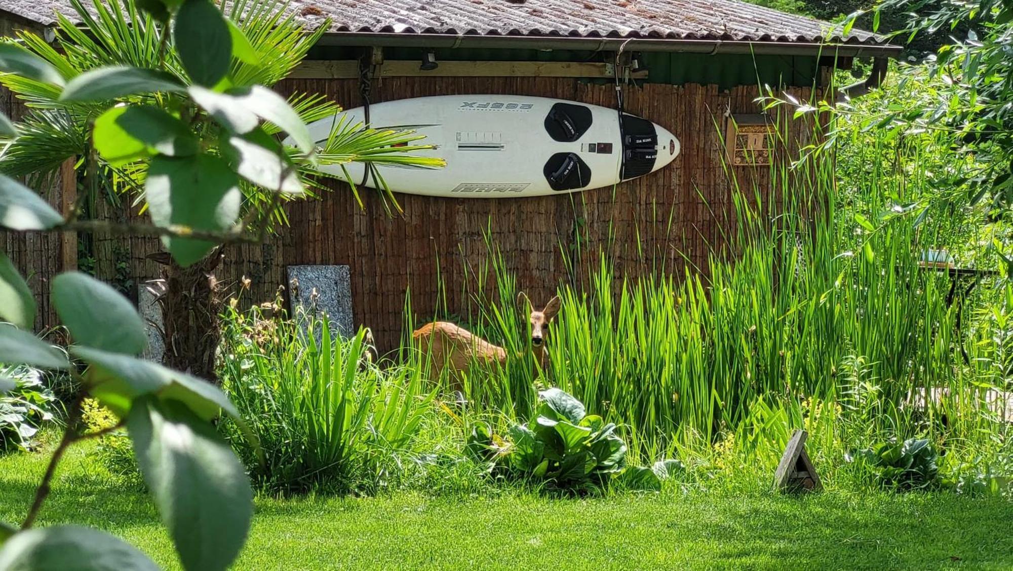 Ferienwohnung Am Bruchwald ビーティッヒハイム・ビッシンゲン エクステリア 写真